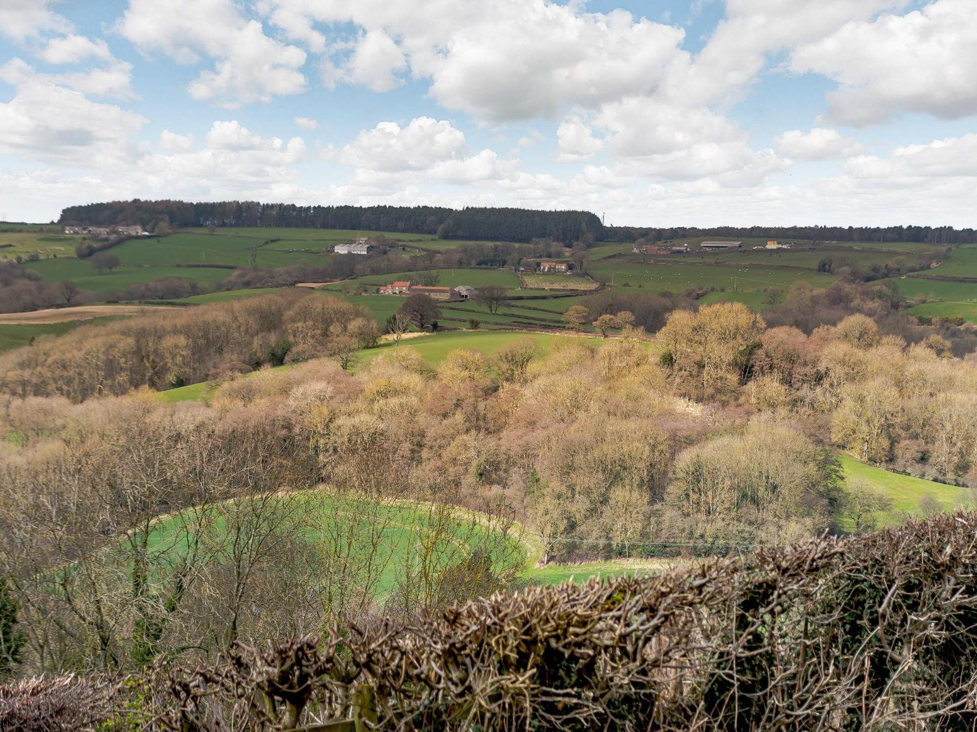 Esk Dale View Villa Grosmont  Exterior foto